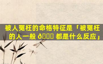 被人冤枉的命格特征是「被冤枉的人一般 🐞 都是什么反应」